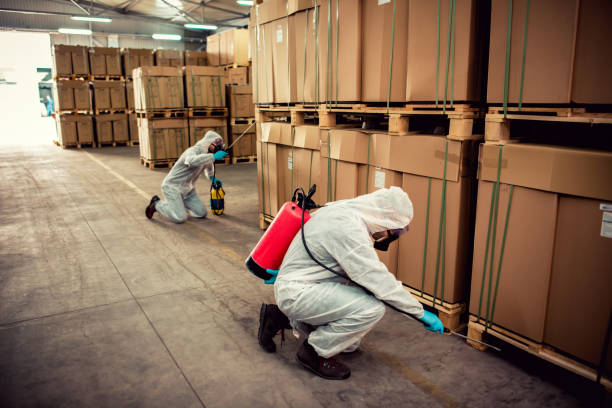 Best Wasp Removal Services  in Red Chute, LA