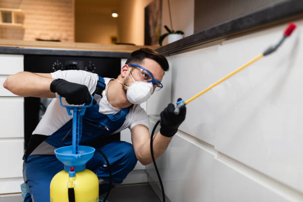 Best Pest Control Treatment  in Red Chute, LA