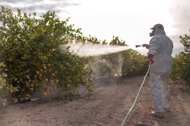 Best Best Pest Control Companies  in Red Chute, LA