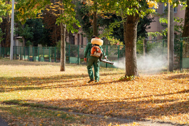 Reliable Red Chute, LA Pest Control Solutions